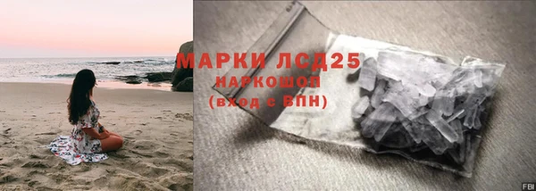 индика Карпинск