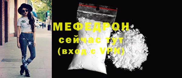 индика Карпинск