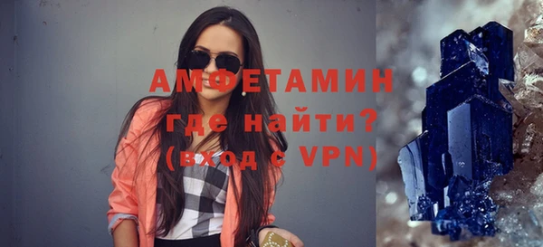 индика Карпинск