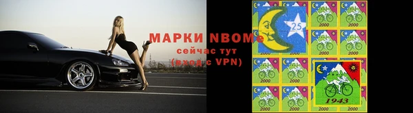 индика Карпинск