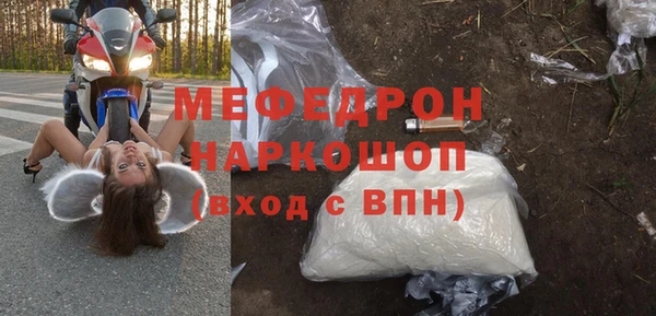 индика Карпинск
