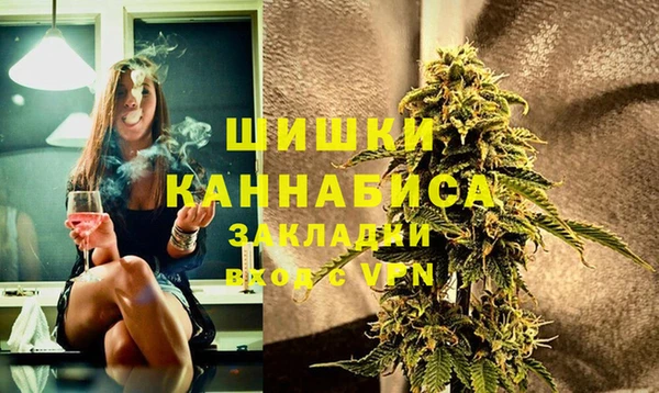 индика Карпинск
