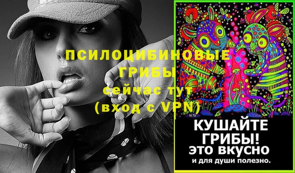 индика Карпинск