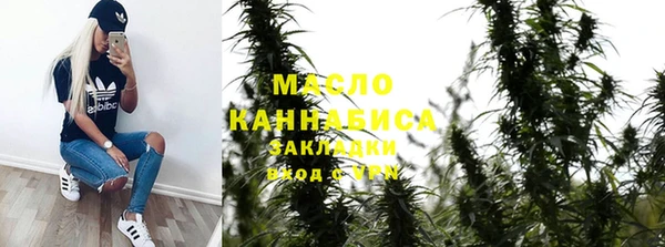 индика Карпинск