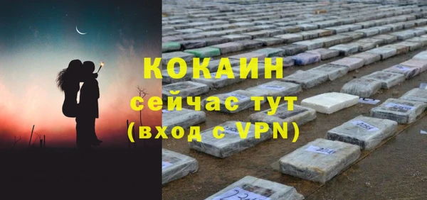 индика Карпинск