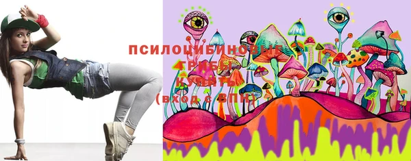 PSILOCYBIN Касимов