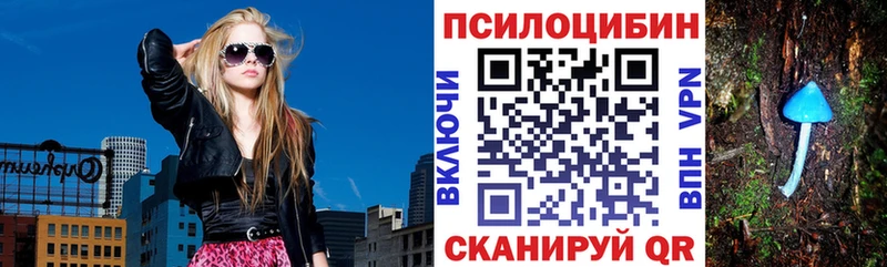 Купить закладки  Ермолино  Галлюциногенные грибы GOLDEN TEACHER 